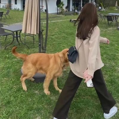 阿松第三季 海报